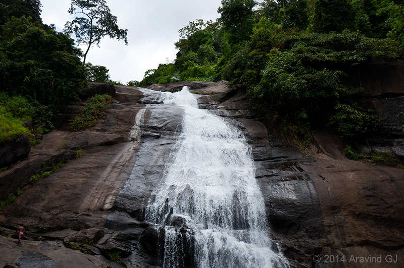 Thusharagiri Waterfalls